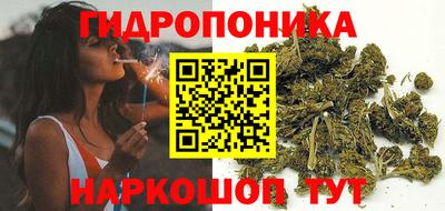 дмт Будённовск