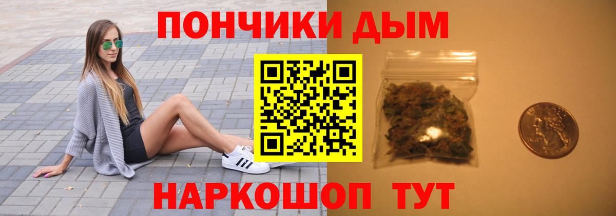 Марихуана сатива Светлоград